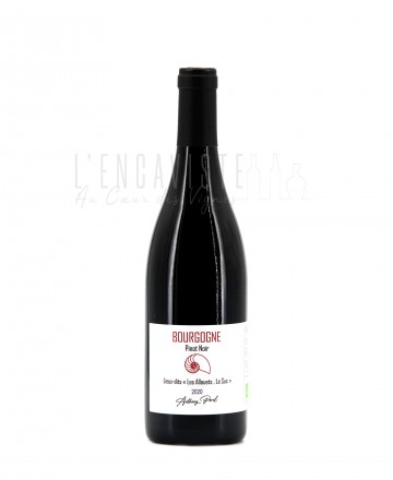 Vin Rouge Anthony Perol «...